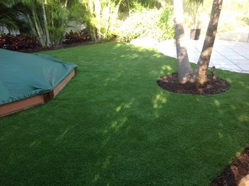 Lawns Installation