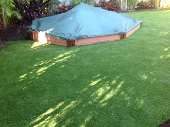 Lawns Installation