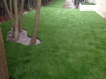 Lawns Installation