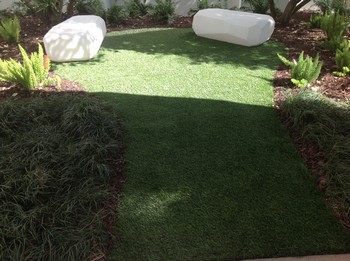 Lawns Installation