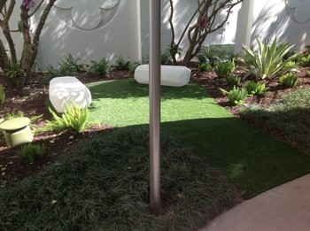 Lawns Installation