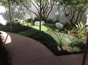 Lawns Installation