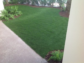 Lawns Installation