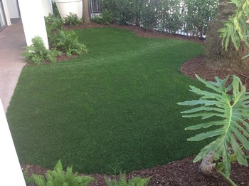 Lawns Installation