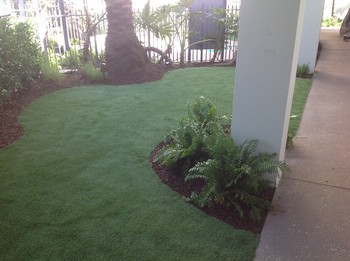 Lawns Installation