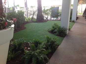 Lawns Installation
