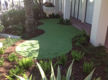 Lawns Installation