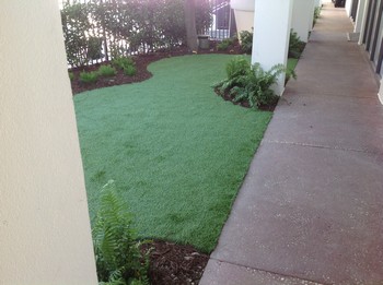 Lawns Installation