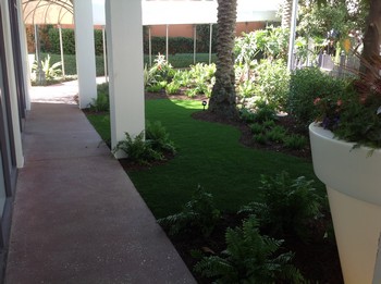Lawns Installation