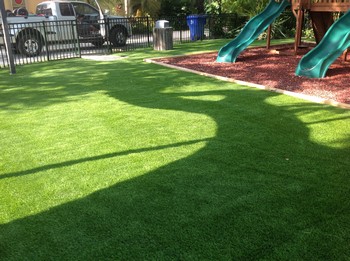Lawns Installation