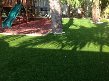 Lawns Installation