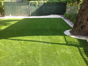 Lawns Installation
