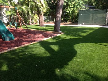 Lawns Installation