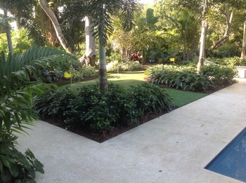 Putting Greens Installation