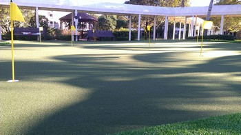 Putting Greens Installation